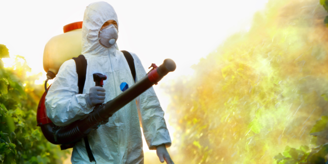 The Benefits of Integrated Pest Management